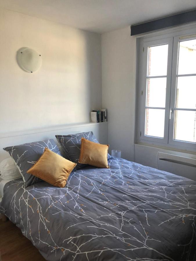 Maison Triplex Du Jardin Des Plantes Rouen Zewnętrze zdjęcie